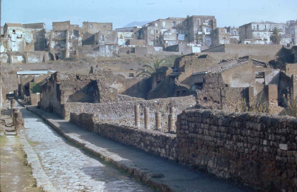 III.2/1, Herculaneum, 4th December 1971. Looking north towards east side of Cardo III Inferiore, with garden area of III.1, on right.
The entrance doorway to III.2 can be seen in the centre, on the left.
Photo courtesy of Rick Bauer, from Dr George Fay’s slides collection.